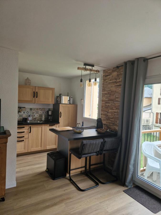 Appartement rénové proche de Luz Saint Sauveur 1chambre et 1 coin cabine Luz-Saint-Sauveur Exterior foto